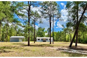 175 WHIRLWIND LOOP, HAWTHORNE, FL 32640 - MLS#MFRGC539140