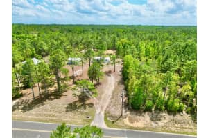 175 WHIRLWIND LOOP, HAWTHORNE, FL 32640 - MLS#MFRGC539140