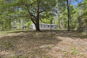 4215 253RD TERRACE, NEWBERRY, FL 32669 - MLS#MFRGC539209