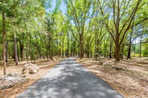 456 BRADENTON WAY, FORT WHITE, FL 32038 - MLS#MFRGC539229