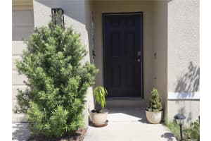 4676 SIGCOM PLACE, WILDWOOD, FL 34785 - MLS#MFRGC539305