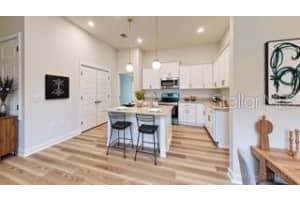 1882 ROBERTS TRAIL, BELL, FL 32619 - MLS#MFRGC539452