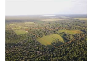 11816 Se County Road 234, MICANOPY
