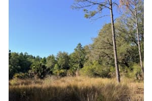 6650 110TH AVENUE, CHIEFLAND, FL 32626 - MLS#MFRGC539649