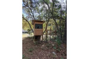 6650 110TH AVENUE, CHIEFLAND, FL 32626 - MLS#MFRGC539649