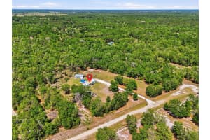 847 APPLEWOOD GLEN, FORT WHITE, FL 32038 - MLS#MFRGC539684