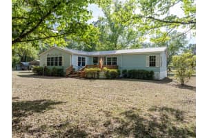 159 70TH AVENUE, BELL, FL 32619 - MLS#MFRGC539798