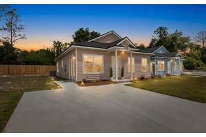 206 MESA STREET, LIVE OAK, FL 32064 - MLS#MFRGC539928