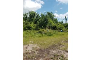 21 MILWAUKEE AVENUE, PALM COAST, FL 32137 - MLS#MFRGC540057