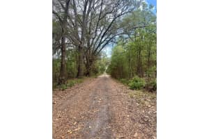 13647 141ST DRIVE, WALDO, FL 32694 - MLS#MFRGC540170