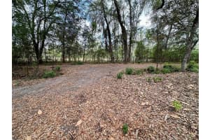 13647 141ST DRIVE, WALDO, FL 32694 - MLS#MFRGC540170