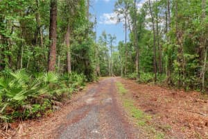 7622 SE COUNTY ROAD 234, GAINESVILLE, FL 32641 - MLS#MFRGC540837