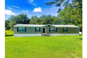 21528 209TH TERRACE, HIGH SPRINGS, FL 32643 - MLS#MFRGC541142