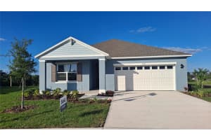 5289 Greenheart Ave, Mt Dora, FL 32757, Sold 04/21/26