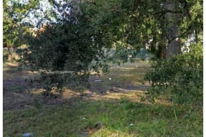 805 Colyer St Orlando, FL 32805 Sold 05/01/26