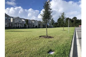 4245 Mistwood St, Oakland, FL 34787, Sold 10/20/21