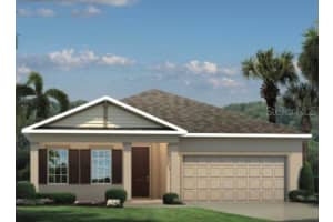 336 August Fern Loop, Mt Dora, FL 32757, Sold 03/28/22