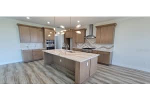 5205 Lake Siena Dr, Wimauma, FL 33598, Sold 11/30/22
