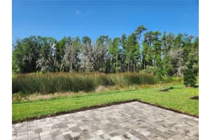 32348 Rosewood Meadow Ln, Wesley Chapel, FL 33543, Sold 05/17/23