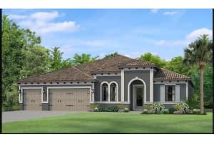 17812 Daisy Farm Dr, Lutz, FL 33559, Sold 10/16/23