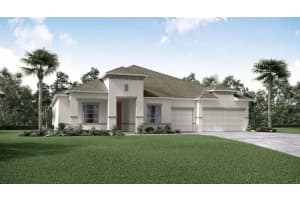 10014 Dolphin Gull Cir, Thonotosassa, FL 33592, Sold 10/31/23