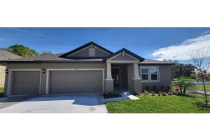 8890 Mugnai St, Riverview, FL 33578, Sold 03/07/24