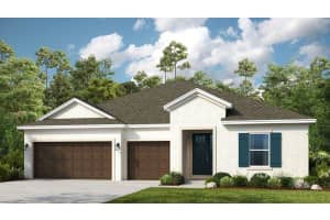 33466 Landsman Lp, Wesley Chapel, FL 33543, Sold 03/18/24