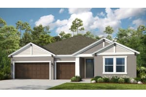 33702 Landsman Lp, Wesley Chapel, FL 33543, Sold 06/28/24