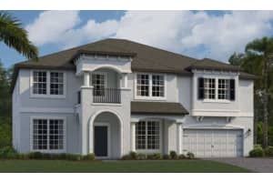10801 Rolling Moss Rd, Tampa, FL 33647, Sold 07/10/24