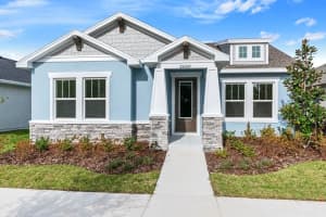 28756 Rambutan Dr, Wesley Chapel, FL 33543, Sold 09/05/24