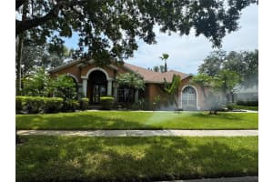 19142 Timber Reach Rd, Tampa, FL 33647, Sold 10/07/24