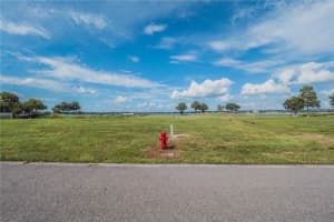 17621 Sawgrass Run, Tavares, FL 32778, Sold 09/30/24