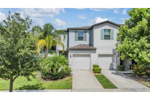 4513 Globe Thistle Dr, Tampa, FL 33619, Sold 10/24/24