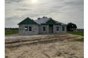 10085 Dolphin Gull Cir, Thonotosassa, FL 33592, Sold 10/25/24