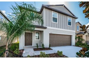22310 Blazing Star Run, Land O' Lakes, FL 34637, Sold 10/21/24