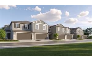 32134 Spiceberry St, San Antonio, FL 33576, Sold 10/30/24