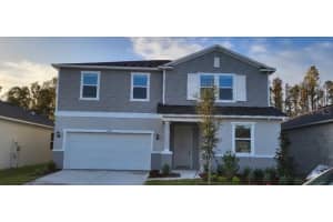 19996 Azul Marble, Land O' Lakes, FL 34638, Sold 11/08/24