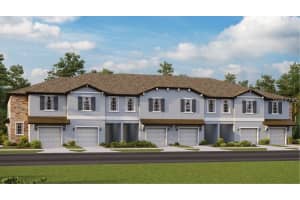 10989 Wishing Cloud Rd, Land O' Lakes, FL 34638, Sold 11/12/24