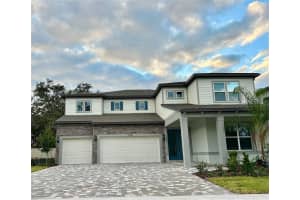 11375 Osprey Preserve Pl, Riverview, FL 33569, Sold 11/08/24