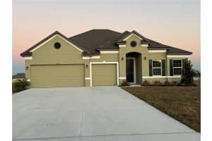 10133 Dolphin Gull Cir, Thonotosassa, FL 33592, Sold 11/20/24