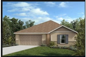 19971 Azul Marble, Land O' Lakes, FL 34638, Sold 11/15/24