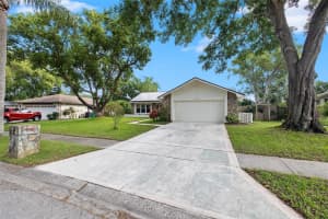 3319 E Dorchester Dr, Palm Harbor, FL 34684, Sold 12/04/24
