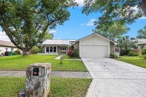 3319 E Dorchester Dr, Palm Harbor, FL 34684, Sold 12/04/24