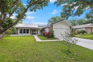 3319 E Dorchester Dr, Palm Harbor, FL 34684, Sold 12/04/24