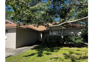12824 Dunhill Dr, Tampa, FL 33624, Sold 12/10/24