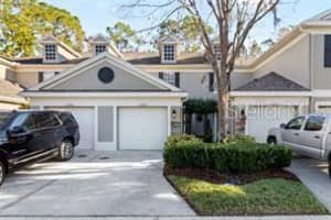 11137 Windsor Pl Cir, Tampa, FL 33626, Sold 12/31/24