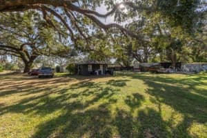 13314 Pulitzer Ave, Tampa, FL 33625, Sold 01/06/25