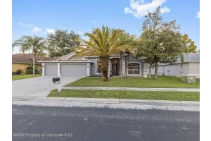 5251 Brackenwood Dr, Spring Hill, FL 34609, Sold 02/03/25