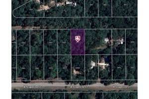 2910 W Sunkist Ln Dunnellon, FL 34433 Sold 02/26/25