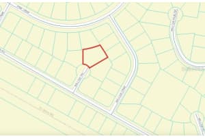 00 Willow Trl Ocala, FL 34472 Sold 03/05/25